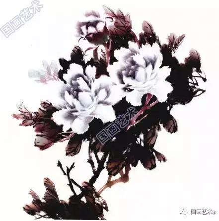 牡丹画法的12种步骤，钛白、藤黄、朱磦、颜料准备好