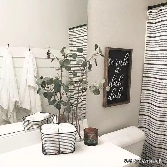 霸王芋，卫生间潮湿、发霉、不通风（霸王芋的养殖方法和注意事项）