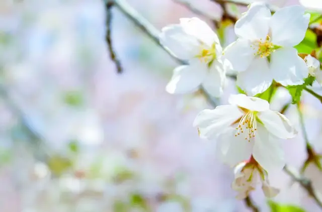 底线的句子，底线的句子搞笑（做人的底线，就7句<精辟>）