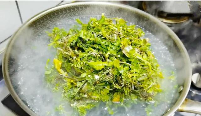 荠菜鸡蛋饺子馅怎么做好吃，饺子鲜嫩还不涩