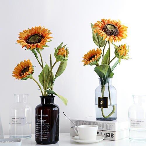 向日葵种植方法和注意事项，向日葵种植方法和注意事项有哪些（栽种向日葵需要满足哪些条件）