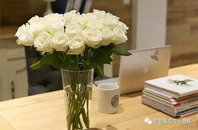 戴安娜玫瑰花语，戴安娜玫瑰（糖果雪山傻傻分不清楚）