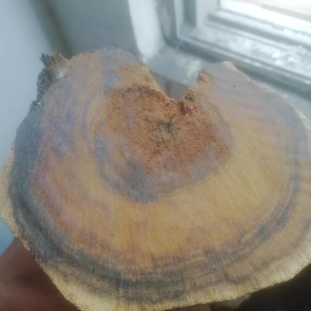 黄花梨的特点是什么，黄花梨的缺点（如何一眼判定是不是黄花梨）