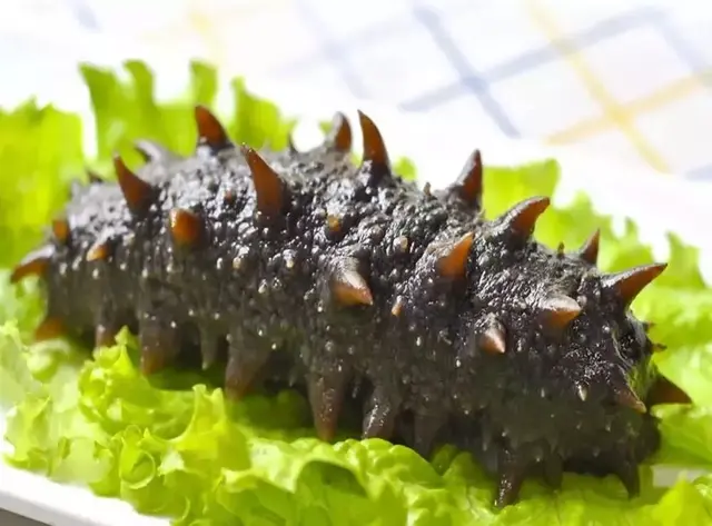 海参的吃法与做法，干海参多少钱一斤市场价（再也不用担心不会做了）