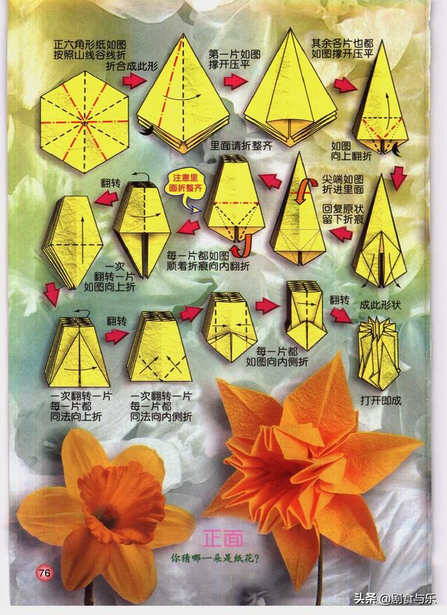 折水仙花教程，花卉折纸：水仙