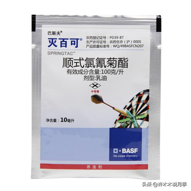 月季常见病虫害及防治方法，月季的病虫害防治（十二种月季常见病害防治教程）