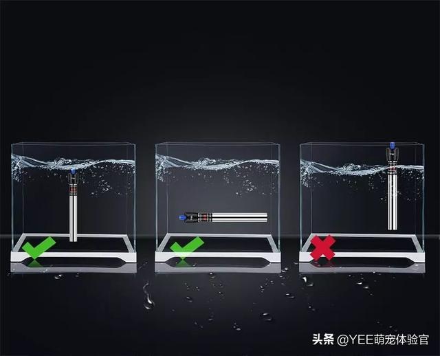 养鱼技巧和要求，新手养鱼，要弄清这些小技巧