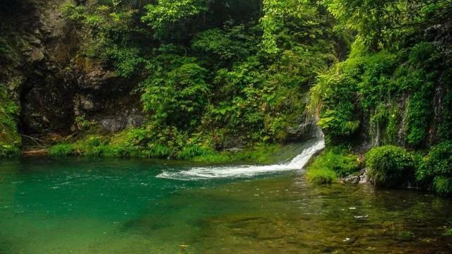 宏村在哪里，安徽宏村在哪里（宏村、西递等旅游景区恢复开放）