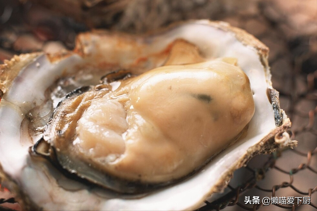 带壳生蚝蒸多久才熟，蒸生蚝多长时间（原来吃生蚝也有讲究，涨知识了）