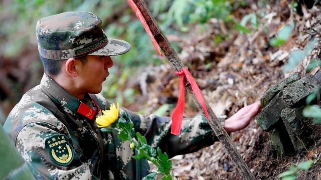 坟茔读音，坟茔读音怎么读（追寻1343座无名红军墓背后的故事）