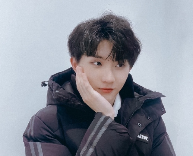 马嘉祺的粉丝名，马嘉祺粉丝名（天生爱豆马嘉祺：他是新晋流量）