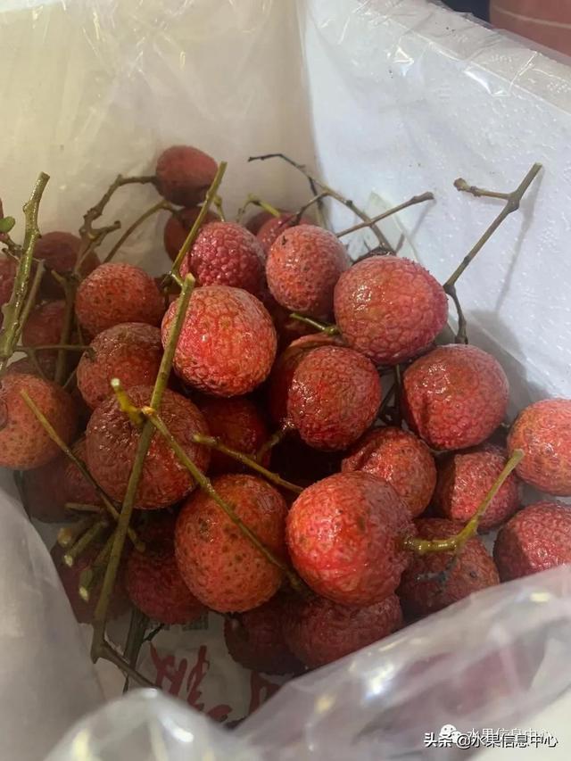 盘点15种常见荔枝，荔枝品种哪个最贵（桂味、糯米糍、新球蜜荔、无核荔枝等）