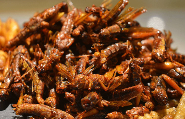 炸蚂蚱全身都可以吃吗，油炸的蚂蚱能吃吗（吃起来也是嘎嘣脆）