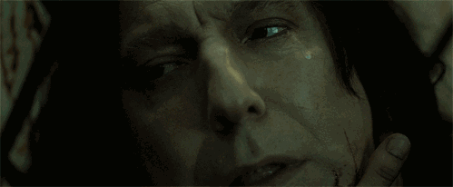 斯内普教授为什么讨厌哈利波特，《哈利波特》中的这一人