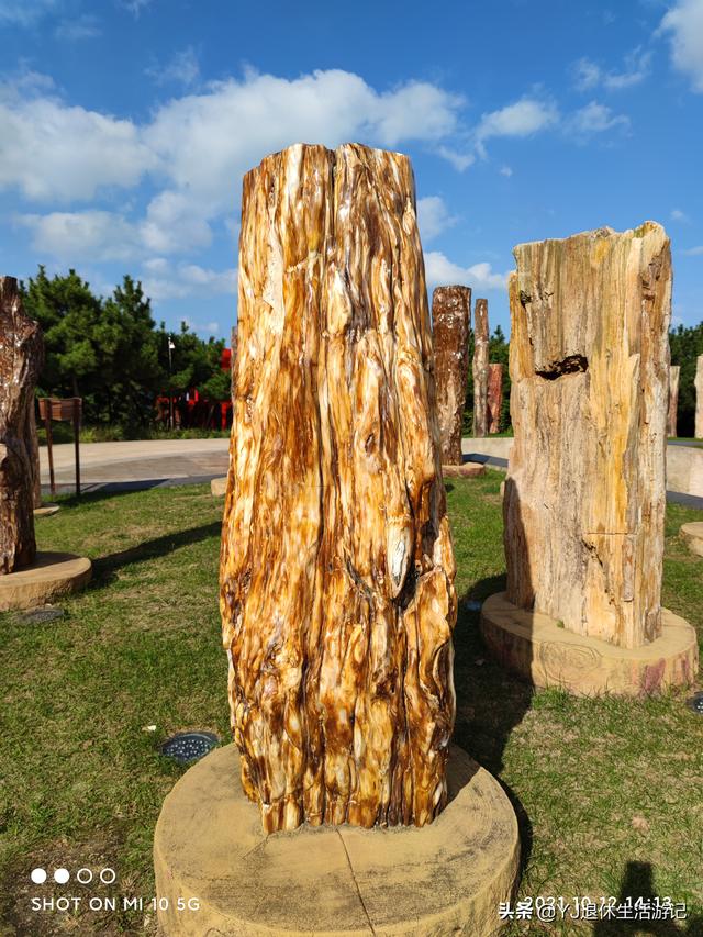 关于中国地质博物馆介绍，中国地质博物馆在哪个区（在烟台认识和了解自然与地质现象的好去处）