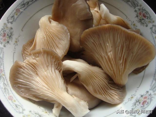 羊肉焖田螺怎么做好吃，鸡肉焖田螺怎样做才好吃（红烧螺蛳+清汤羊肉！）