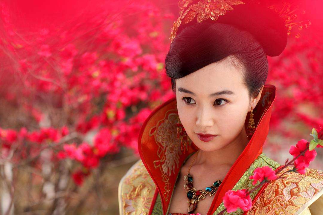 《唐朝好男人1》 观后推荐文