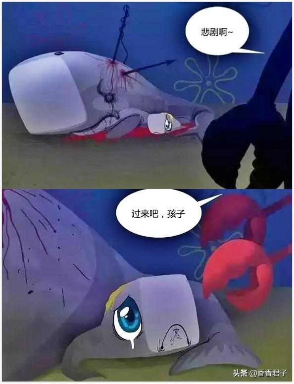 龙涎香怎么鉴别，龙涏香（排泄物却成了神秘而又昂贵的香料——龙涎香）