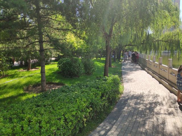 太原迎泽公园在哪儿，太原市内最大公园