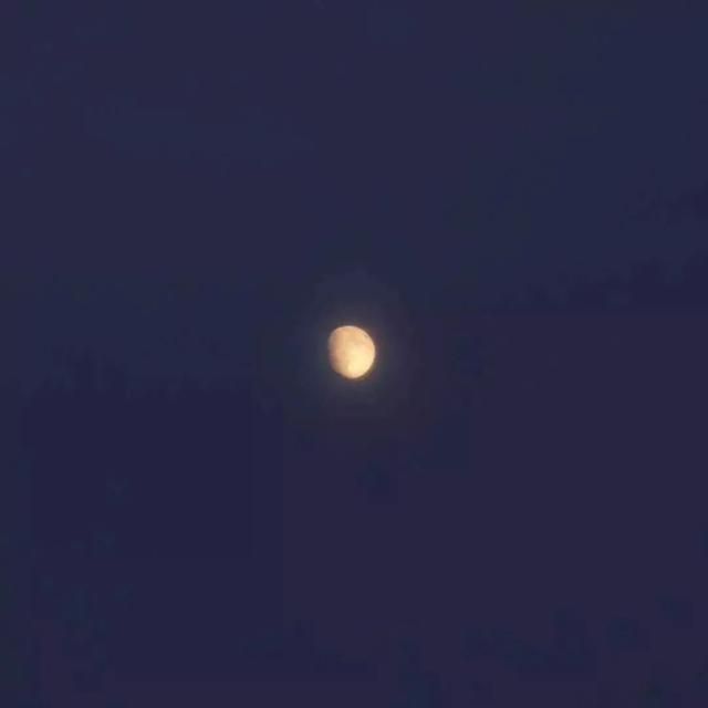 蓝色系美图，蓝色系美图动漫（蓝色系背景图合集）