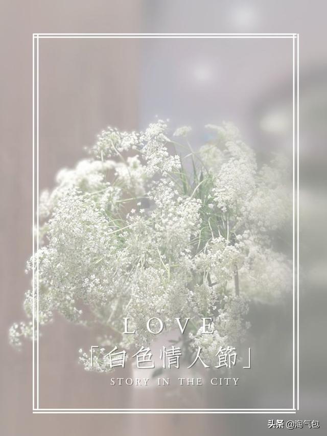 12个月都有什么情人节，二月没过情人节的今天补上