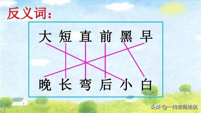 带有提手旁的字大多与什么有关，提手旁的字有哪些（部编版小学语文一年级上册第6课《比尾巴》重点知识+图文解读）