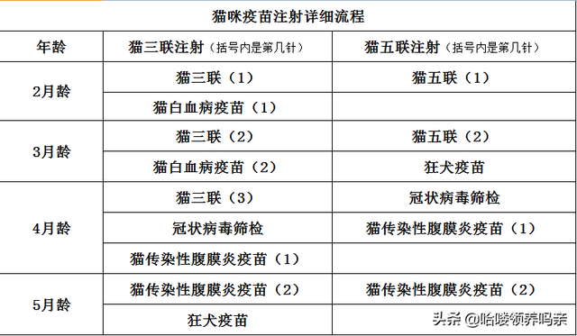 猫三联是什么意思，猫三联疫苗是什么（怎么分清猫五联和三联的区别）