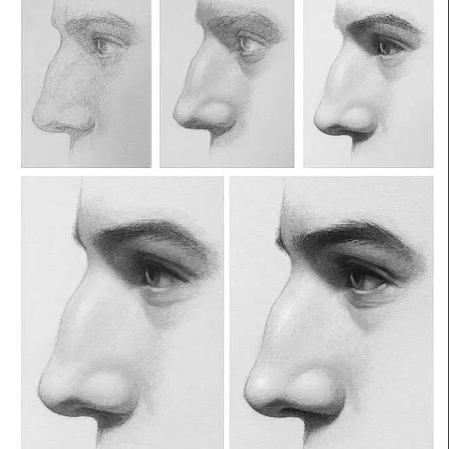 五官有哪些，人的五官准确是哪五官（动漫人物五官的详细画法）