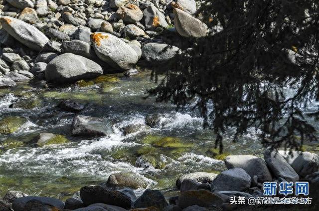 绿染新疆车师古道