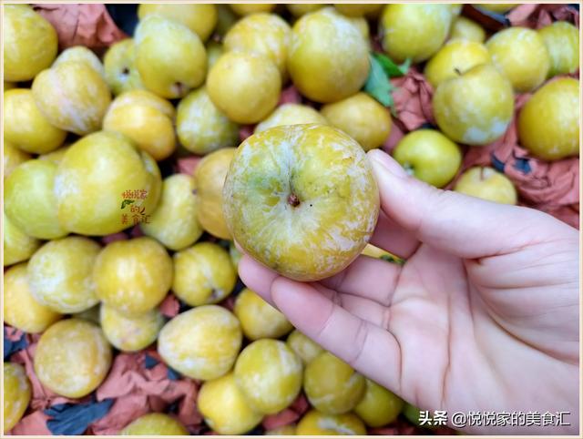 红布李的营养价值，红布李产地哪里的最好（避免买到又软又空的催熟李）