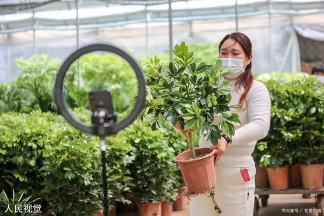 百家号怎么开通直播带货，百家号怎么开通直播带货权限？