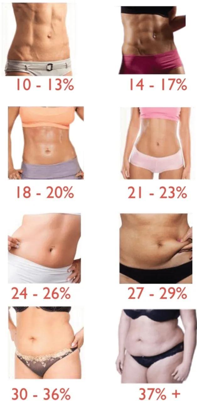 脂肪率是什么意思，体脂肪率是什么（体脂率-及脂肪相关知识）