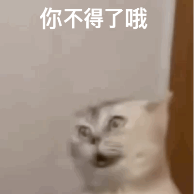 聊天必备表情包'，微信头像，聊天必备表情包'（17个抖音近期热门表情包）