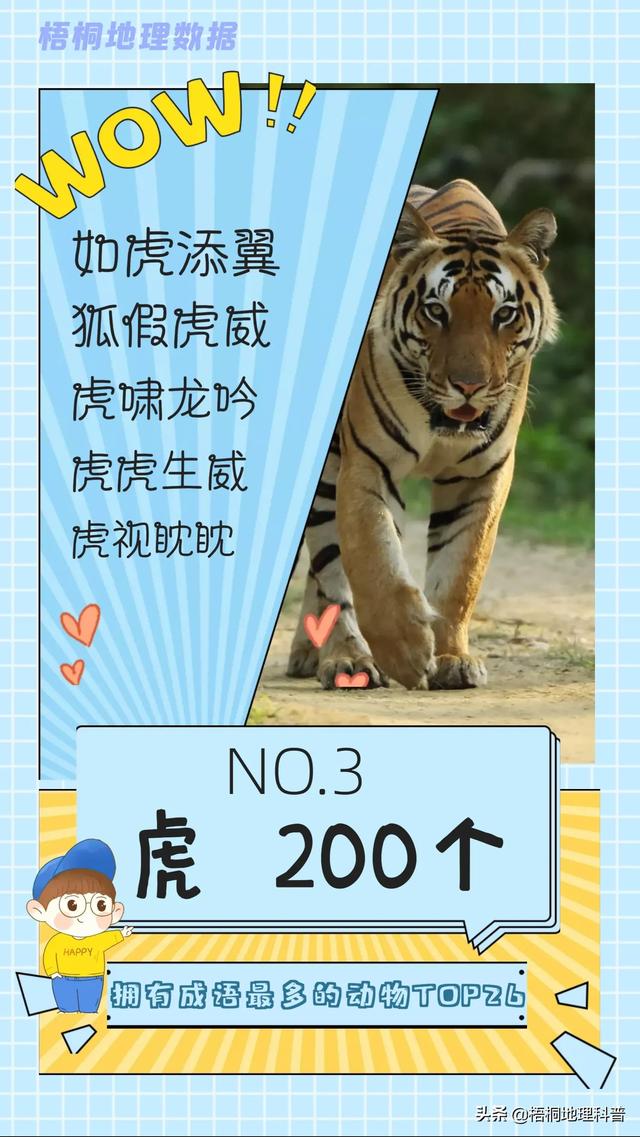 关于猫的词语有多少个，关于猫的词语有多少个词语（盘点哪种动物拥有的成语最多）