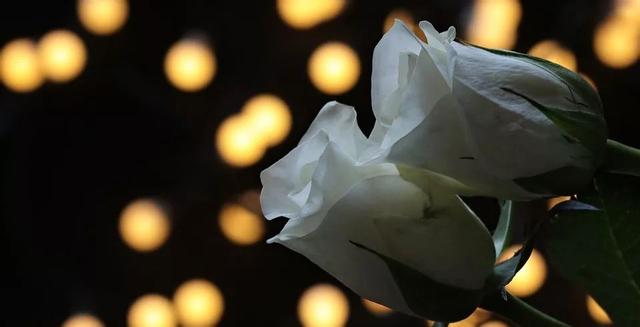 七夕怎么过才有意思，七夕怎么过有意义（除了牛郎织女的故事还有哪些有趣的习俗）