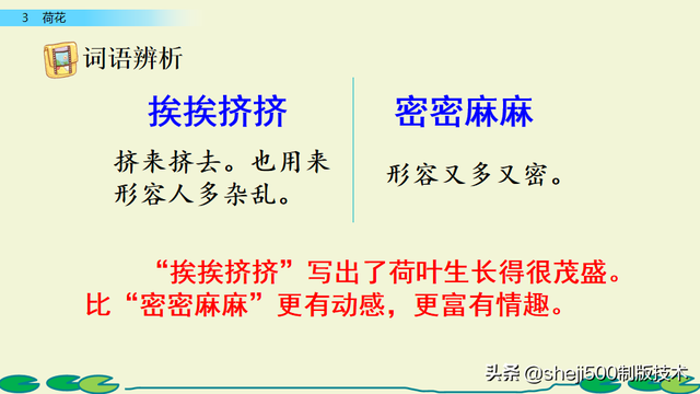 莲蓬的蓬是不是读轻声，莲蓬的蓬为什么读轻声（部编版语文三年级下册第3课《荷花》图文讲解）