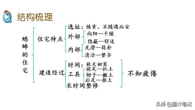 蟋蟀的住宅指的是什么，蟋蟀的住宅 是指什么（第三单元《蟋蟀的住宅》课文讲析）