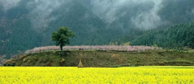 女神节祝福语一句话,女神节祝福语一句话女朋友(2019年女神节短信祝福语) 女神节祝福语一句话,女神节祝福语一句话女朋友(2019年女神节短信祝福语)