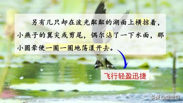 我一生中的重要抉择生字词拼音，登时的拼音（登时的拼音与意思）