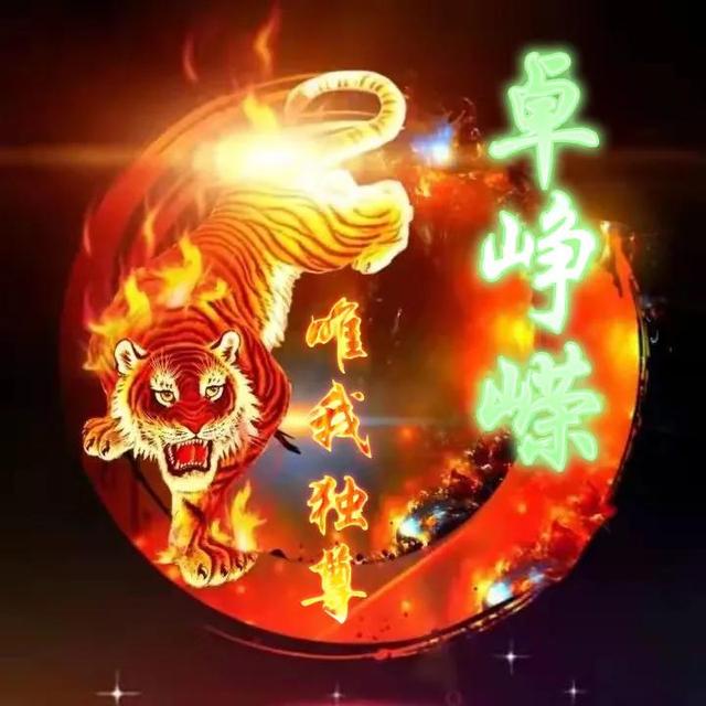 卡通老虎图片，虎（霸气虎全名微信头像：唯我独尊）