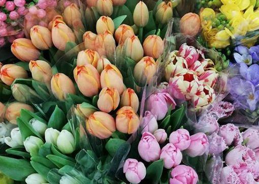 观音莲的花语，观音菩萨与莲花的寓意（守护你的小幸福）