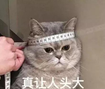 猫砂是什么东西，你知道猫砂是什么垃圾吗