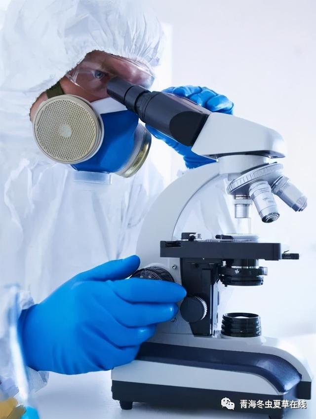 冬虫夏草烟多少一包，中支冬虫夏草香烟多少一包（几代人坚守的事业还能持续多久）