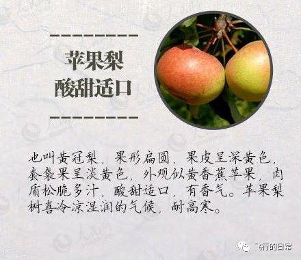 丰水梨的功效，吃丰水梨的好处与坏处（史上最全梨子功效）