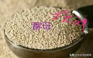 如何用酵母做好发面，怎样做发面酵母（使用方法很重要。原来是要这么做）
