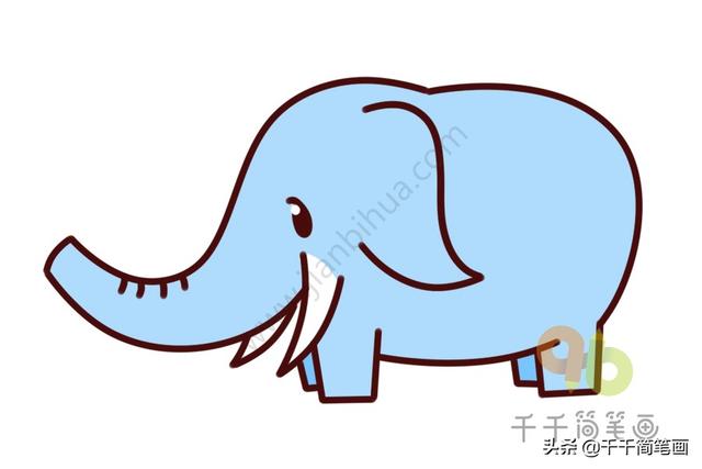 蛇简笔画图片大全可爱，蛇简笔画 儿童画（这个国家竟用屎壳郎做生肖属相）