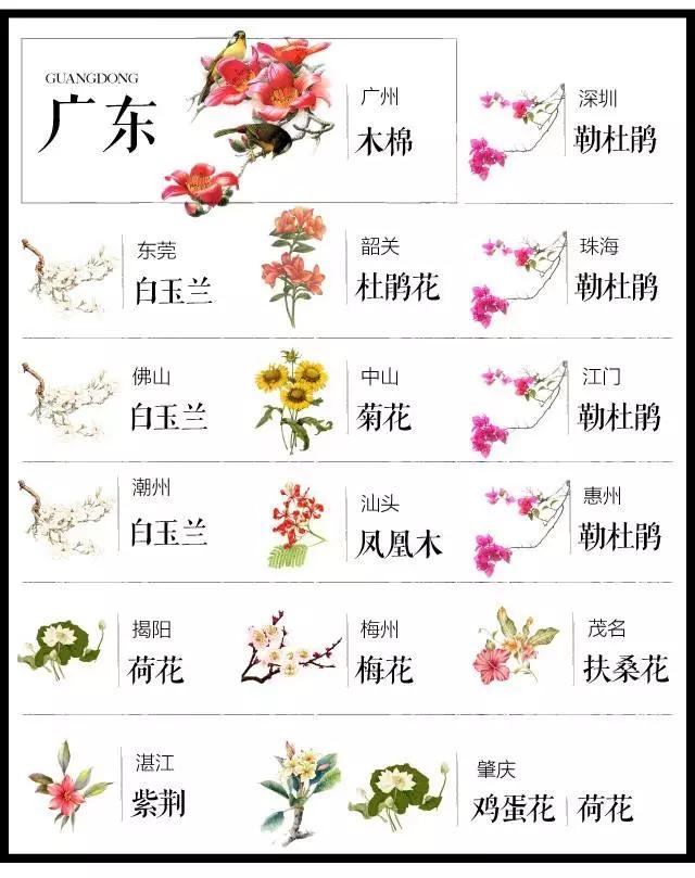 城市的市花有哪些花，关于全国各城市市花及意义