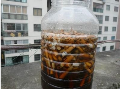 杀死蛆虫的小妙招，如何用自然方法消灭蛆虫（这3种“灭虫水”不能少）