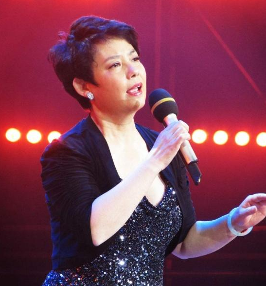 葬花吟是谁唱的，葬花吟歌词（她唱《葬花吟》红遍全国）