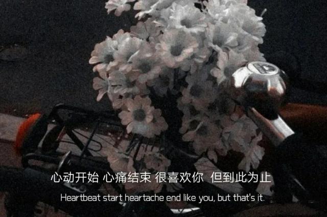 日出东方却落于四，日出东方却落于西（有没有一句文案让你记很久图片）